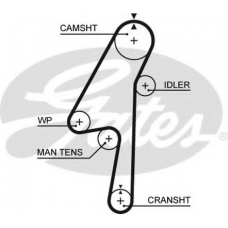 5580XS GATES Ремень ГРМ