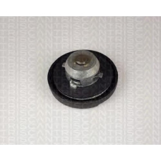 8800 2012 TRIDON Petrol cap