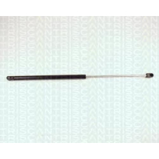 8710 25100 TRIDON Gas spring front