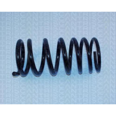 8750 1625 TRIDON Coil spring rear