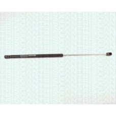 8710 16207 TRIDON Gas spring rear