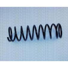 8750 1634 TRIDON Coil spring front