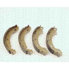 8100 10487 TRIDON Brake shoes