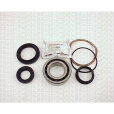 8530 16218 TRIDON Wheel bearing kit