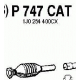 P747CAT