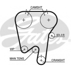 5343XS GATES Ремень ГРМ