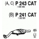 P243CAT