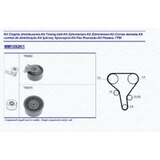 341310921101 MAGNETI MARELLI Комплект ремня грм