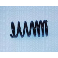 8750 1621 TRIDON Coil spring rear