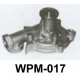 WPM-017