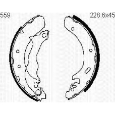 8100 16559 TRIDON Brake shoes