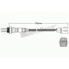 250-24176 WALKER Лямбда-зонд