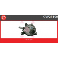 CVP25100 CASCO Вакуумный насос