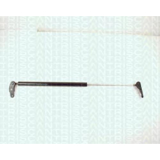 8710 13231 TRIDON Gas spring rear