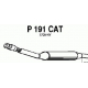 P191CAT