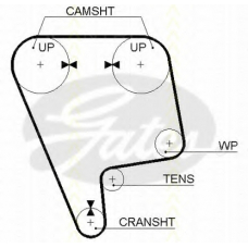 8645 5170xs TRISCAN Ремень ГРМ