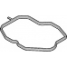 379.310 Elring Прокладка, крышка головки цилиндра