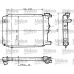 810946 VALEO Радиатор, охлаждение двигателя