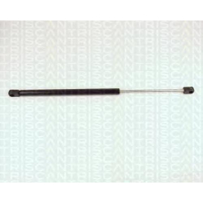 8710 25213 TRIDON Gas spring rear