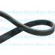 DMV-1507<br />KAVO PARTS