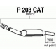 P203CAT