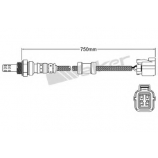 250-24756 WALKER Лямбда-зонд