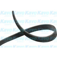 DMV-4547 KAVO PARTS Поликлиновой ремень