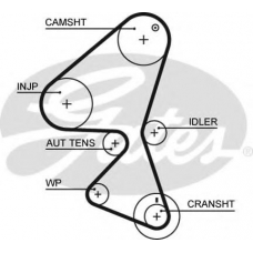 5589XS GATES Ремень ГРМ