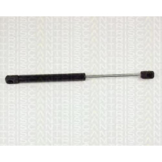 8710 25217 TRIDON Gas spring rear