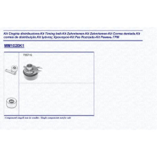341310201101 MAGNETI MARELLI Комплект ремня грм