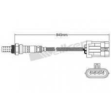 250-24406 WALKER Лямбда-зонд