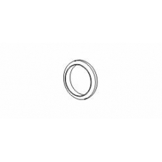 498159 ERNST Уплотнительное кольцо, труба выхлопного газа