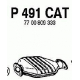 P491CAT<br />FENNO