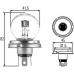 8GD 002 088-131 HELLA Лампа накаливания, фара дальнего света; лампа нака