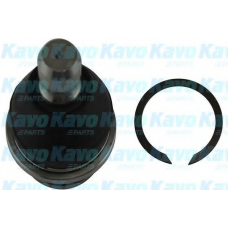 SBJ-6550 KAVO PARTS Несущий / направляющий шарнир