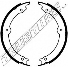 115.323 TRUSTING Комплект тормозных колодок, стояночная тормозная с