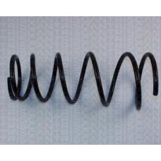 8750 1312 TRIDON Coil spring rear