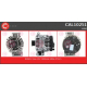 CAL10251<br />CASCO