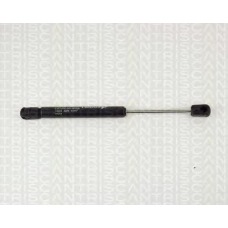 8710 15205 TRIDON Gas spring rear