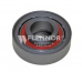 FS62900 FLENNOR Натяжной ролик, ремень грм