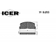 180493<br />ICER