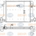 8MK 376 758-021 HELLA Радиатор, охлаждение двигателя