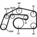 6PK2495D1 CONTITECH Поликлиновой ременный комплект