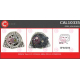 CAL10335<br />CASCO