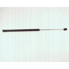 8710 24204 TRIDON Gas spring rear