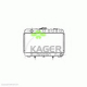 31-2491<br />KAGER
