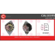 CAL10195<br />CASCO