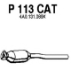 P113CAT