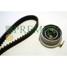 PBTK069 BRT Bearings Комплект ремня ГРМ