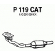 P119CAT<br />FENNO